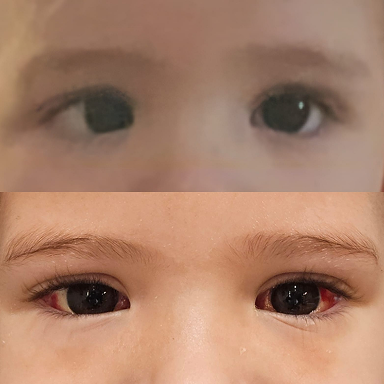 WhatsApp Image 2025-12-12 at 19.11.13 1